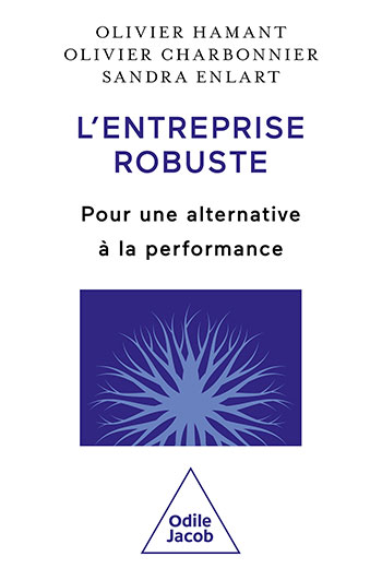 Lire la suite à propos de l’article « L&rsquo;entreprise robuste : pour une alternative à la performance »